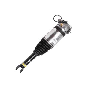 Acquista Ammortizzatore pneumatico da MiesslerAutomotive 11055-01-002E a buon mercato per soli 1000,37 €