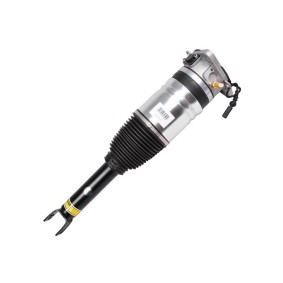 Acquista Ammortizzatore pneumatico da MiesslerAutomotive 11056-01-001E a buon mercato per soli 1000,37 €