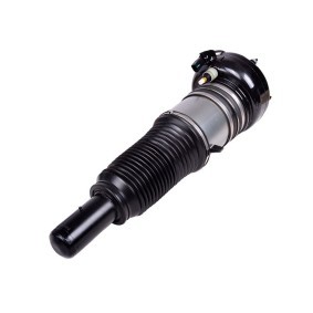 Acquista Ammortizzatore pneumatico da MiesslerAutomotive 11134-01-040J a buon mercato per soli 989,20 €