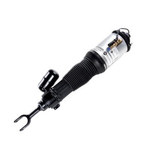 Acquista Ammortizzatore pneumatico da MiesslerAutomotive 1115-01-40AC a buon mercato per soli 699,20 €