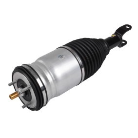 Luftfederbein 1121-01-47AH