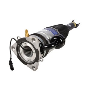 Acquista Ammortizzatore pneumatico da MiesslerAutomotive 1139-01-6001 a buon mercato per soli 772,24 €