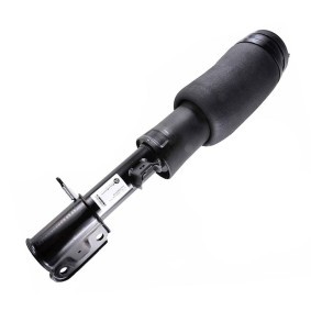 Luftfederbein von MiesslerAutomotive günstig für 486,86 €