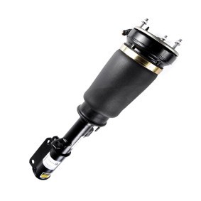Luftfederbein von MiesslerAutomotive günstig für 417,69 €