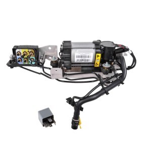 Compre Compressor de suspensão de MiesslerAutomotive online para 1500 Extended Cab Pick-up (DS) a preços moderados