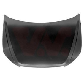 Motorhaube 4906660