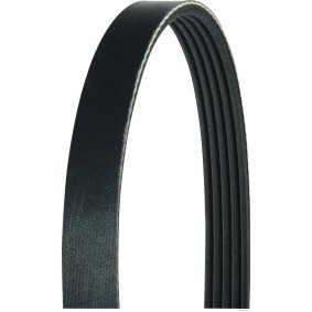Achetez des Courroie Poly-V HERTH+BUSS JAKOPARTS J1050976 à prix pour 11,84 €