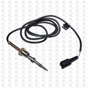 Compre Sensor, temperatura dos gases de escape da QUINTON HAZELL XEPS224 a um preço baixo por 163,07 €
