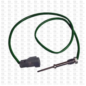 Compre Sensor, temperatura dos gases de escape da QUINTON HAZELL XEPS248 a um preço baixo por 174,64 €