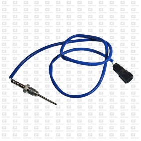 Compre Sensor, temperatura dos gases de escape da QUINTON HAZELL XEPS293 a um preço baixo por 160,88 €