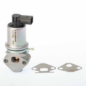 Acquista Valvola EGR da WAHLER 710778D a buon mercato per soli 67,94 €