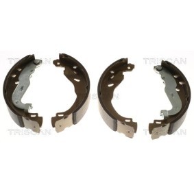 Bremsbackensatz 8100 25008