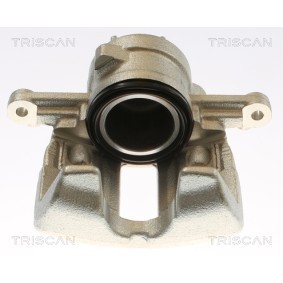Kjøp Bremsecaliper av TRISCAN 8175 10134 til den lave prisen 873,44 NOK
