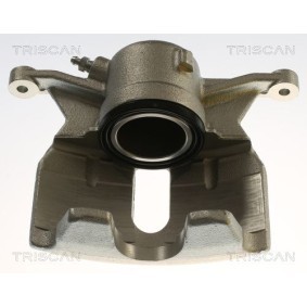 Bremssattel 8175 29127