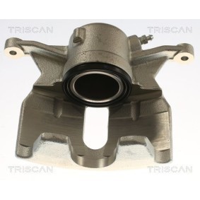 Bremssattel 8175 29128