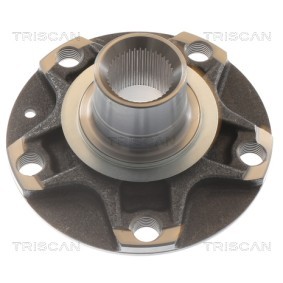 Radnabe von TRISCAN