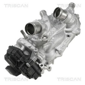 Acquista Pompa acqua da TRISCAN online per Passat B9 Variant (CJ5) a prezzi moderati