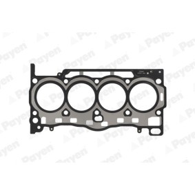 Compre Junta de culata de PAYEN online para Octavia III Combi (5E5) a precios moderados