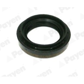 Köp Oljetätningsring för differential av PAYEN NA5502 till det låga priset 60,26 kr