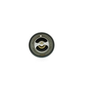 Kühlwasserthermostat von AISIN