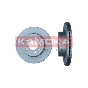 Bremsscheibe 103012
