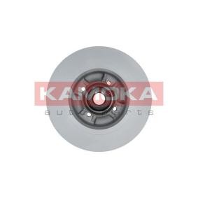 Bremsscheibe 103031