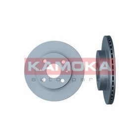 Bremsscheibe 103069