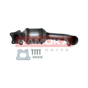Katalysator 8015007