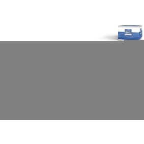 Bremsscheibe 6.61029