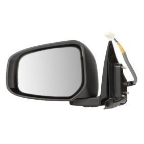 Acquista Specchietto retrovisore esterno da BLIC 5402-15-1945318P a buon mercato per soli 147,17 €