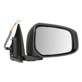Acquista Specchietto retrovisore esterno da BLIC 5402-15-1945319P a buon mercato per soli 140,82 €