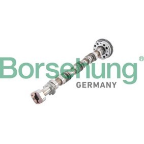 Acquista Albero a camme da Borsehung B12380 a buon mercato per soli 800,96 €