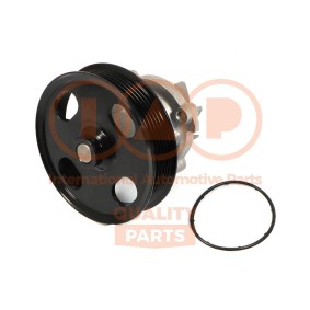 Achetez des Pompe à eau IAP QUALITY PARTS 150-16077P à prix pour 96,81 €