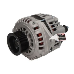 Lichtmaschine STX110167R