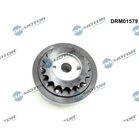 Acquista Regolatore albero a camme da DR.MOTOR AUTOMOTIVE DRM01579 a buon mercato per soli 158,83 €