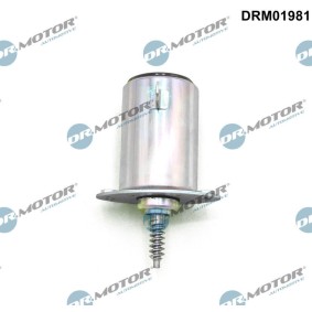 Acquista Valvola di comando per regolazione albero a camme da DR.MOTOR AUTOMOTIVE DRM01981 a buon mercato per soli 156,35 €