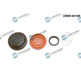 Kurbelgehäuseentlüftung von DR.MOTOR AUTOMOTIVE für Range Rover Velar (L560) günstig online kaufen