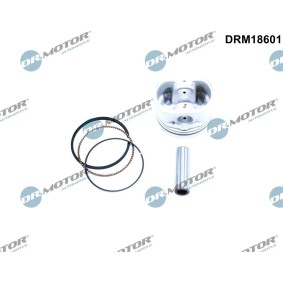 Kolben DRM18601