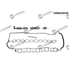 Comprar Kit de reparación, módulo de tubo de aspiración de DR.MOTOR AUTOMOTIVE DRM22802R a bajo precio de 73,14 €