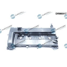 Achetez des Cache-culbuteur DR.MOTOR AUTOMOTIVE DRM6917 à prix pour 92,73 €