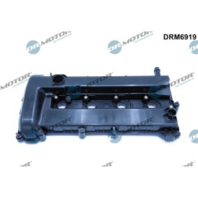 Achetez des Cache-culbuteur DR.MOTOR AUTOMOTIVE DRM6919 à prix pour 105,48 €