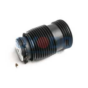 Luftfeder, Fahrwerk 40A0022-OYO
