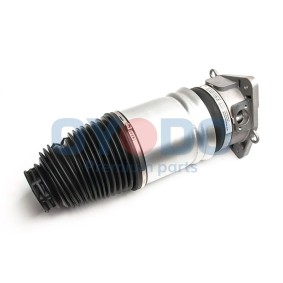 Luftfeder, Fahrwerk 40A0048-OYO