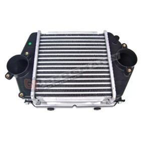 Köp Intercooler av GT-BERGMANN GT12-019 till det låga priset 1997,06 kr