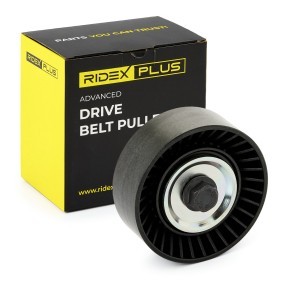Acquista Galoppino / guidacinghia, cinghia poly-v da RIDEX PLUS online per Fiesta Mk4 Hatchback (JAS, JBS) a prezzi moderati