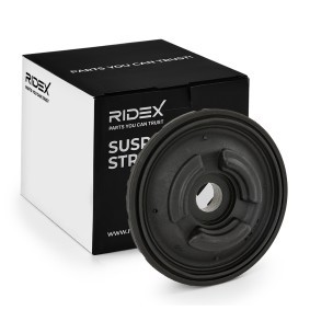 Osta Jousijalan tukilaakeri RIDEX:llä 1180S1529 edullisesti hintaan 31,99 €