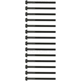 Comprar Juego de tornillos de culata de REINZ 14-17603-02 a bajo precio de 62,80 €