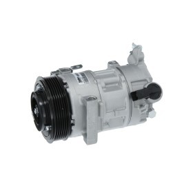 Acquista Compressore aria condizionata da VALEO 690019 a buon mercato per soli 267,81 €