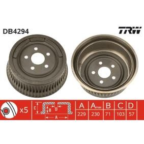 Köp Bromstrumma av TRW DB4294 till det låga priset 809,82 kr
