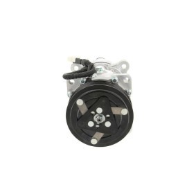 Acquista Compressore aria condizionata da BV PSH 090.225.015.876 a buon mercato per soli 371,86 €